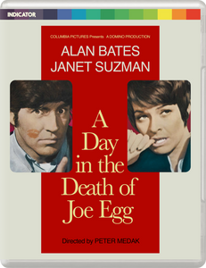 A DAY IN THE DEATH OF JOE EGG - LE