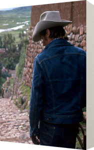 THE LAST MOVIE - LE