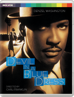 DEVIL IN A BLUE DRESS - LE